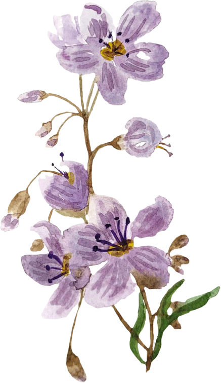 loose watercolor floral purple